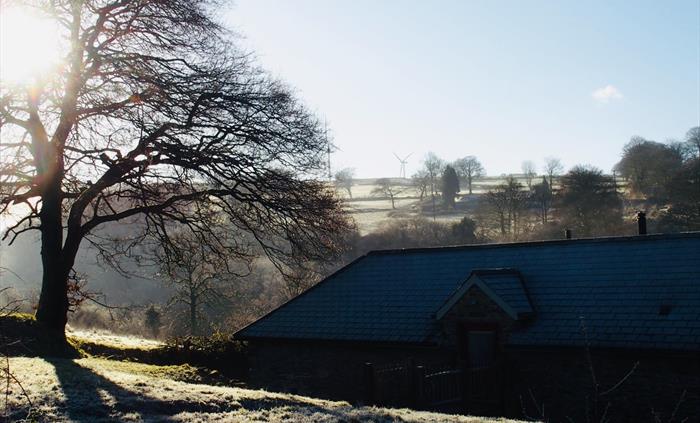 The garden looks up to Llanllwni Mountain, you can see the wind farm on the top of the mountain